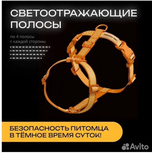 Шлейка для собаки анатомическая