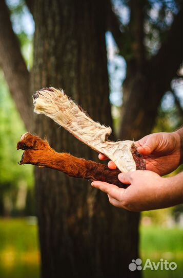 Лакомства для собак