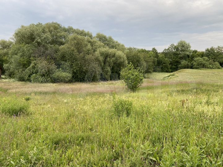 Дом 35 м² на участке 50 сот.