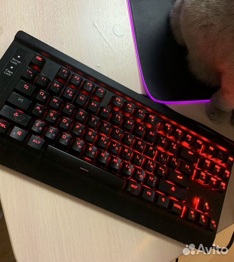 Механическая клавиатура Oklick