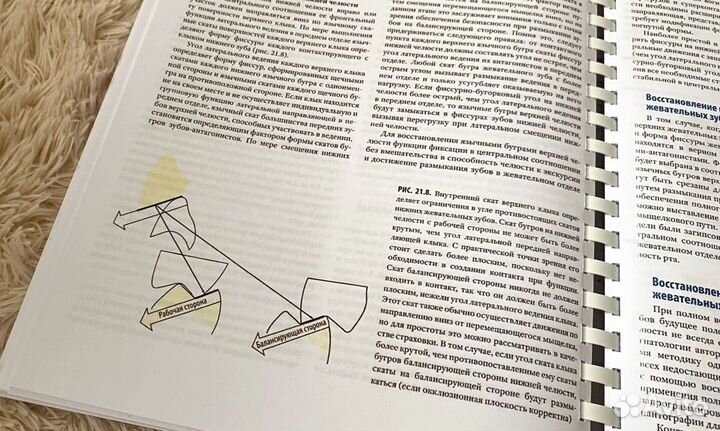 Функциональная окклюзия