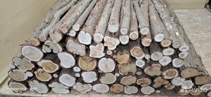 Можжевельник