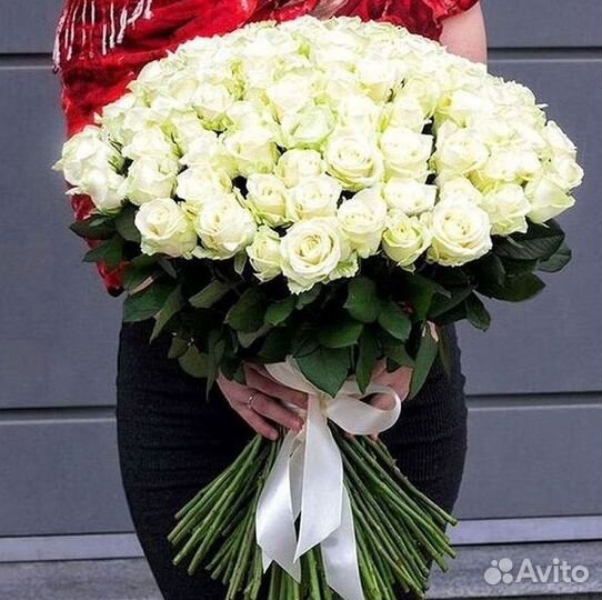 Высокие розы
