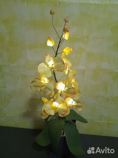 Музыка ветра