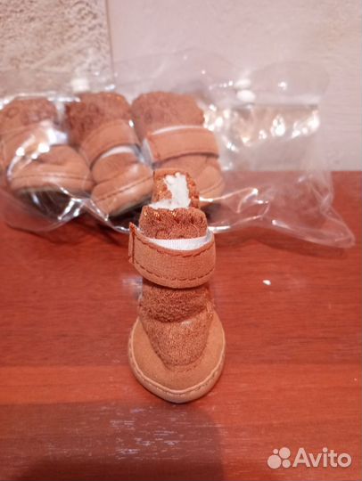 Обувь для маленьких собак