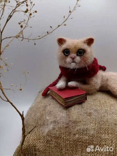 Кот Котенок