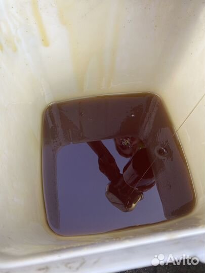 Мед гречишный с цветком оптом