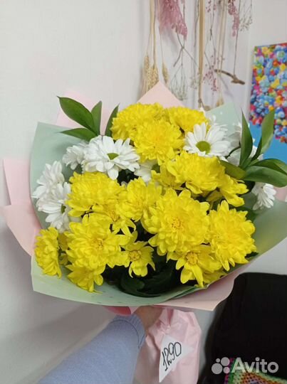 Букет из хризантем, шикарные свежие хризантемы