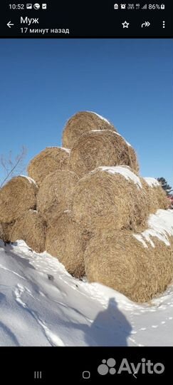 Солома соевая