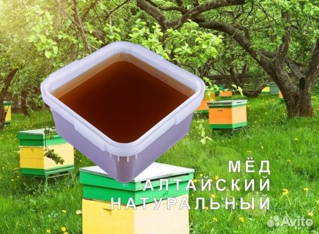 Мед натуральный с Алтая опт
