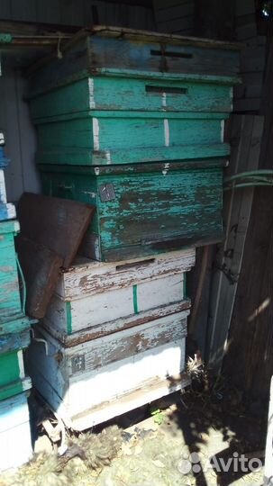 Ульи для пчел