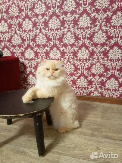 Ищем подружку