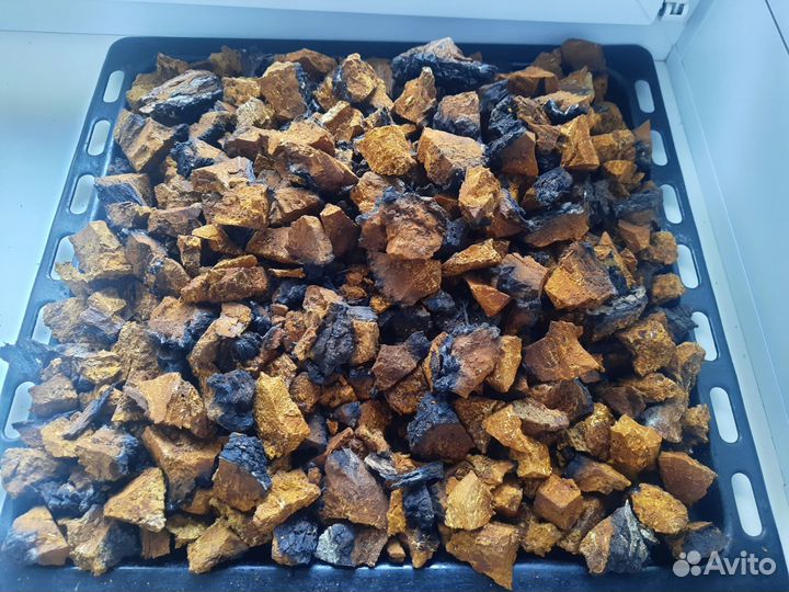 Чага березовая молотая,черная,любая