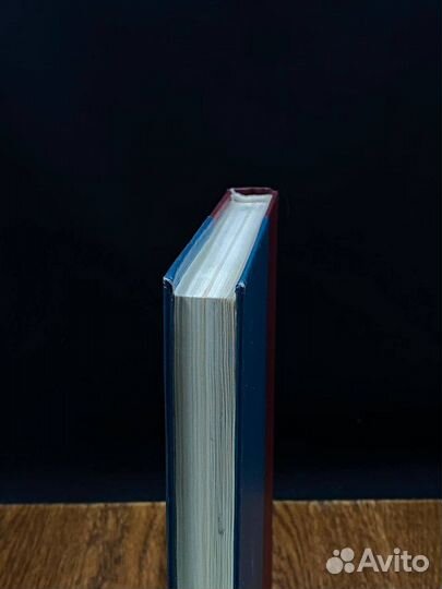 Юконский ворон