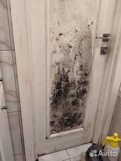 Дезинфекция