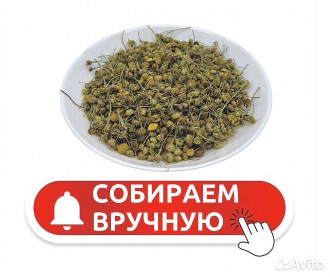 Пижма пуговки
