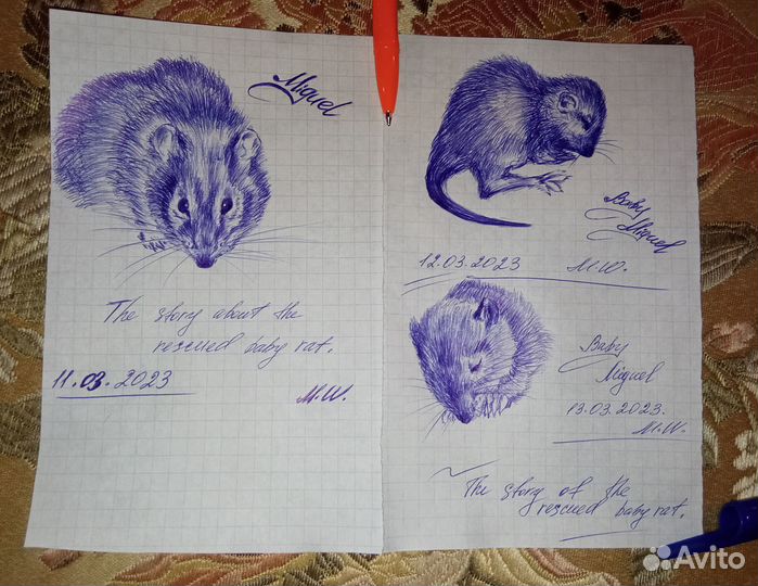 Сказки, истории на заказ. Писательница художник