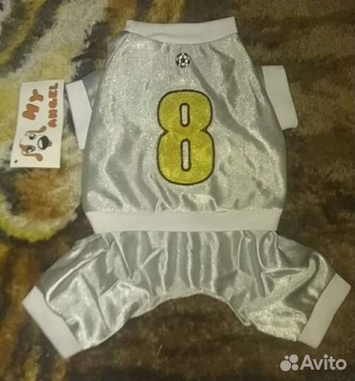 Одежда для собак