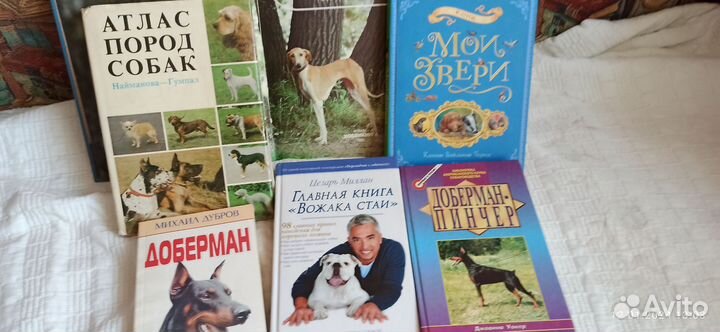 Книги о собаках