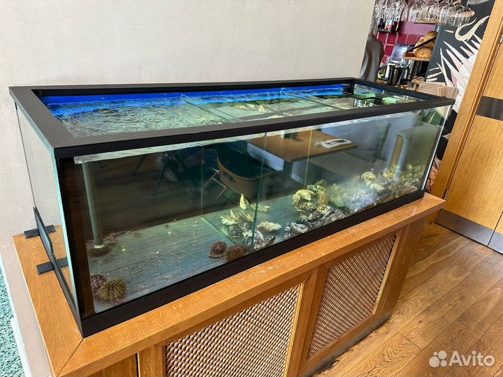 Аквариум