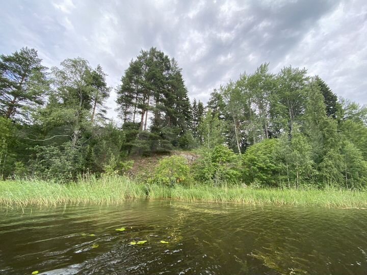 Участок 8 га (СНТ, ДНП)