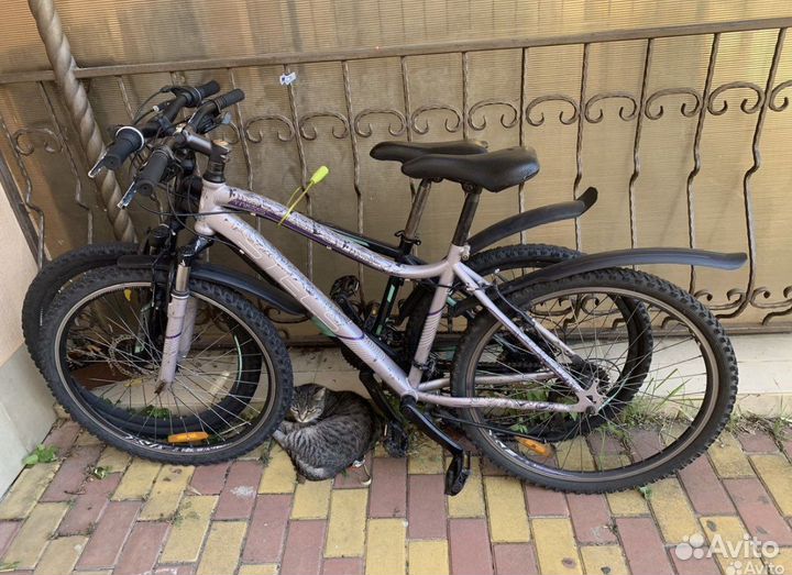 Велосипиды стелс