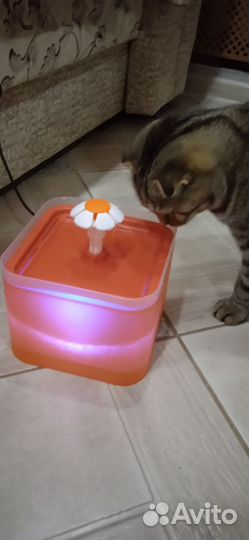 Фонтан поилка для кошек