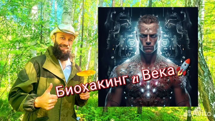 Сборщик грибов