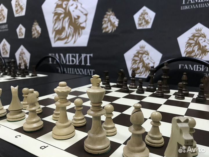 Тренер по шахматам (чмр)