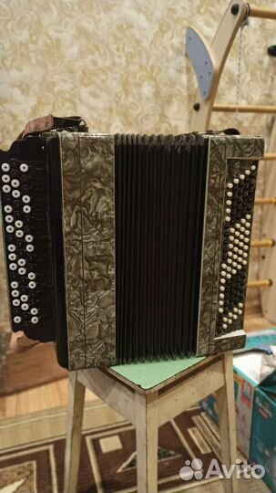 Баян тульский