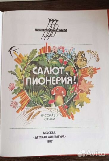 Книга почёта, Пионерия детские книги