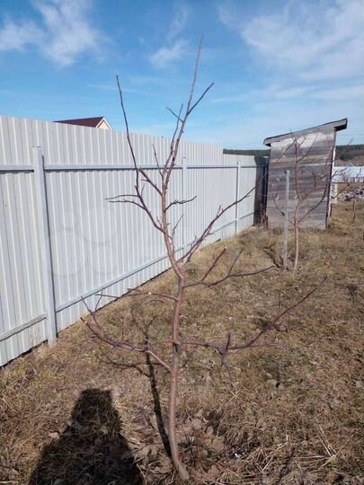 Дом 134 м² на участке 24 сот.