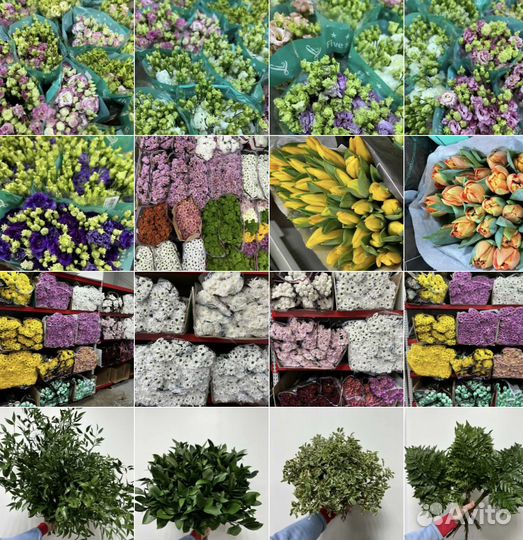 Цветы оптом - розы пионы альстромерия оптом