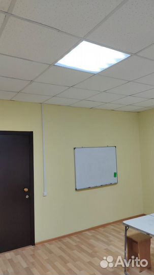 Ищу учителя для совместной аренды