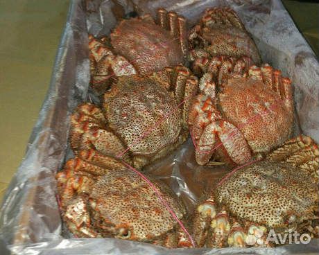 Морепродукты, икра, рыба, креветки