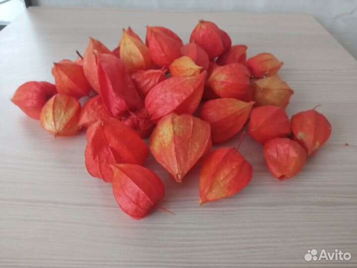 Физалис фонарики