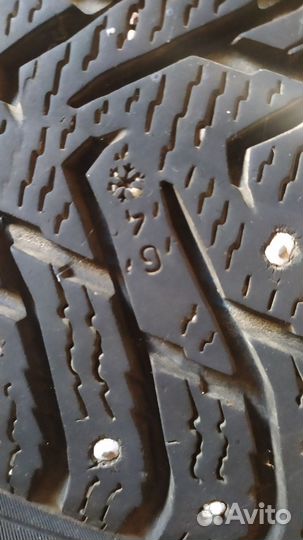 Nokian Tyres Hakkapeliitta 8 205/60 R16