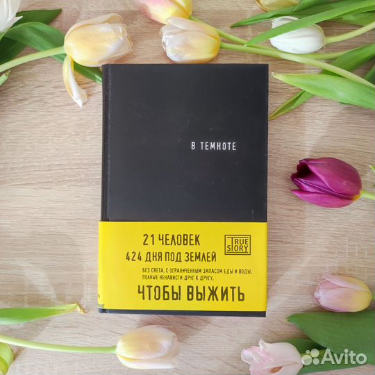 Книга В темноте. Кристина Хигер