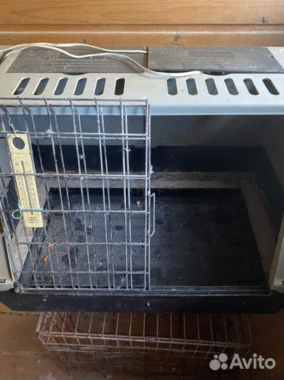 Брудер для цыплят бу