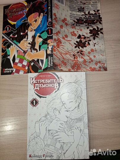 Манга Клинок рассекающий демонов 1 том