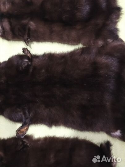 Шкурки норки выделанные