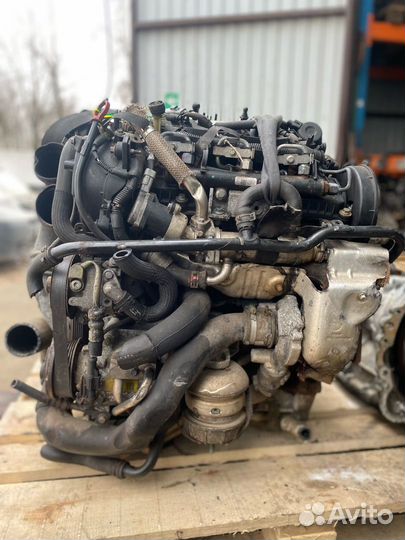Двигатель AJV6D Jaguar S-Type рест