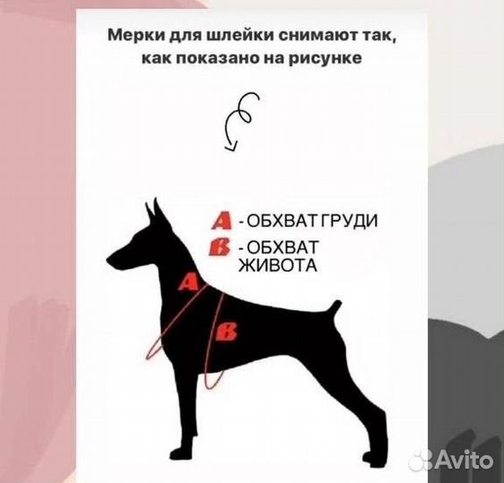 Шлейка из биотана
