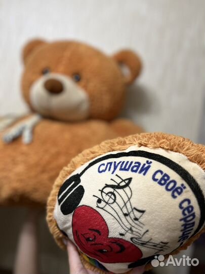 Большой мишка ищет себе хозяина