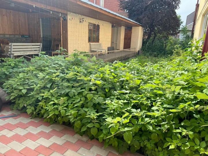 Дом 110 м² на участке 4 сот.