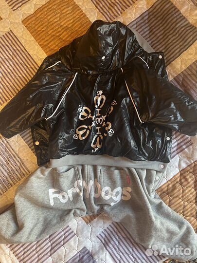 Комбинезон для собак ForMyDogs