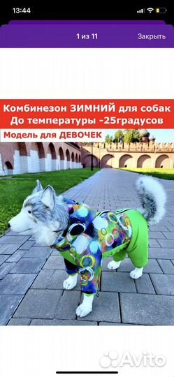 Камбизон доя собак новый