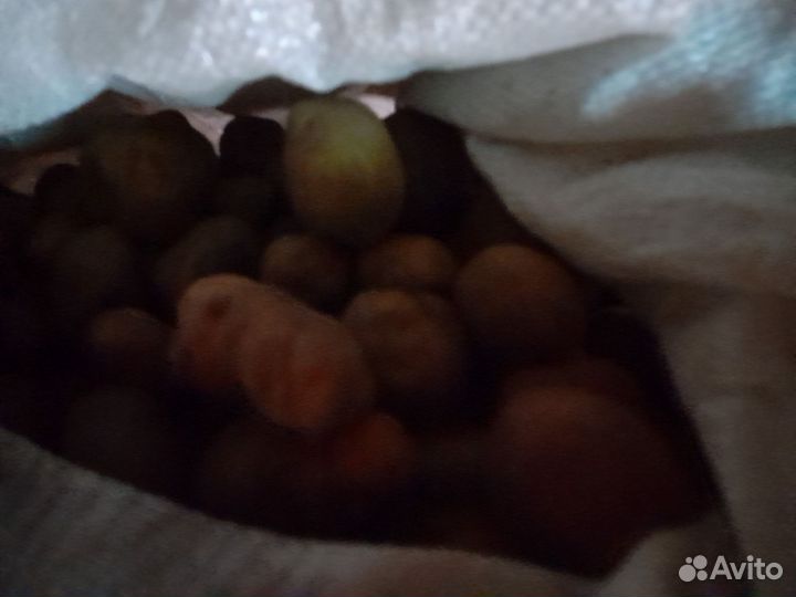 Картофель мелочь