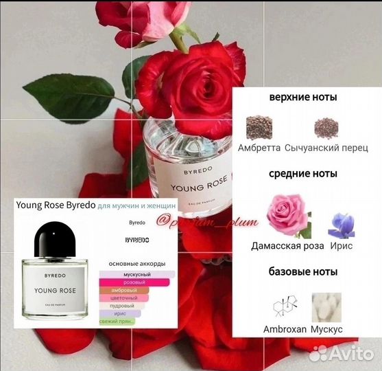 Byredo young rose