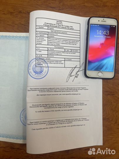 Документы Украины загс. Адвокат в Украине